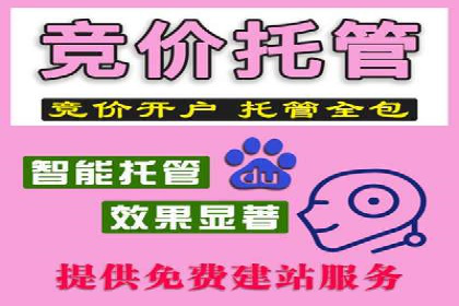 热门信息流广告投放公司案例分析